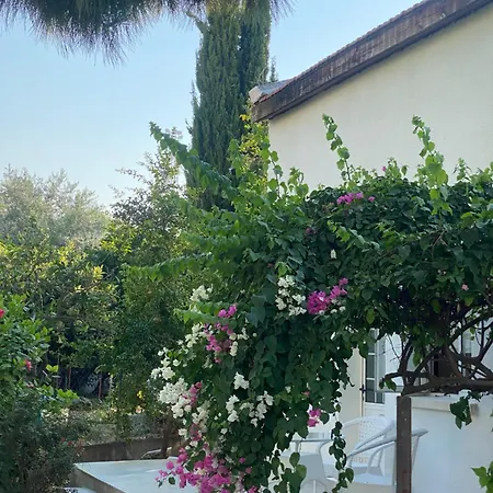 The & فندق Agios Georgios (Kyrenia)