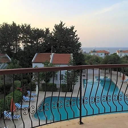Hotel The &
