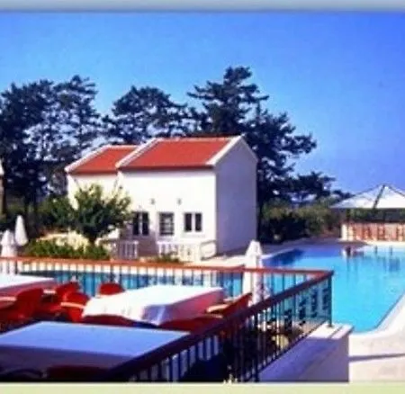 Hotel The &