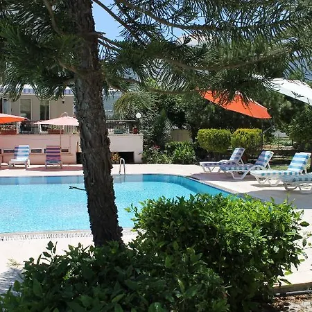 Hotel The & 3*